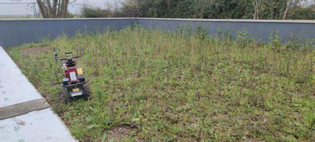 Easigrass Dublin