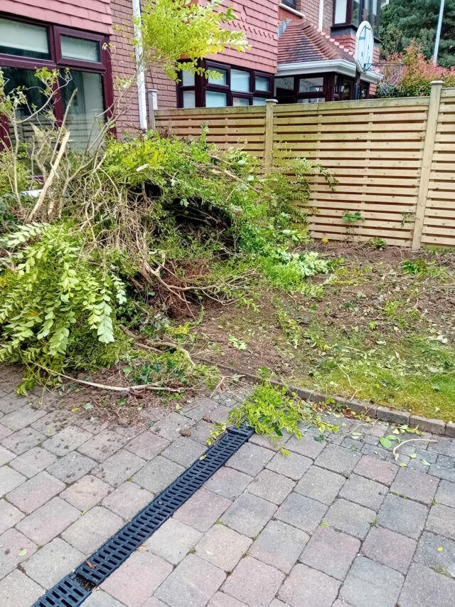 Easigrass Dublin
