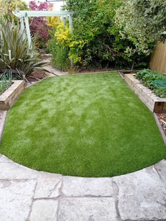 Easigrass Dublin