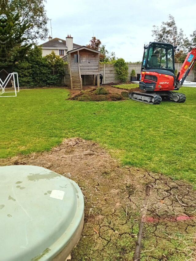 Easigrass Dublin