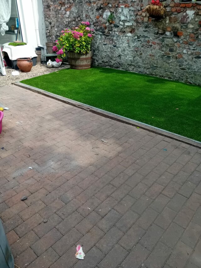 New back garden