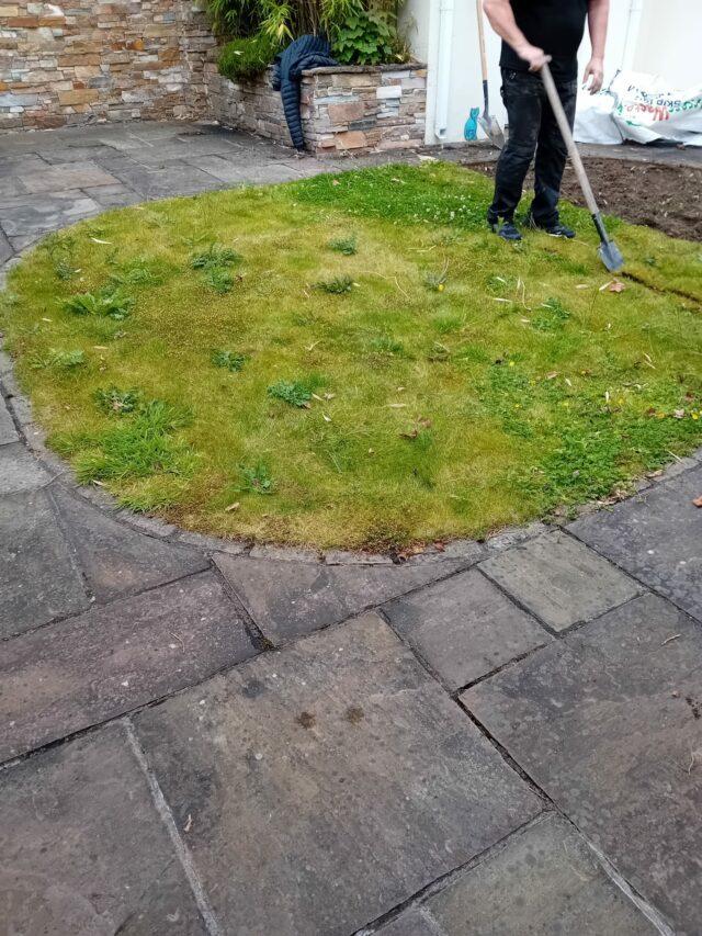 Easigrass Dublin