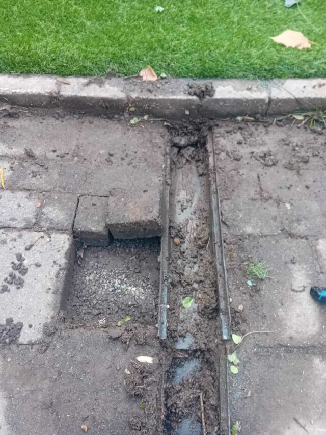 Easigrass Dublin