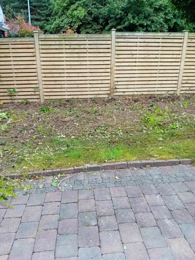 Easigrass Dublin