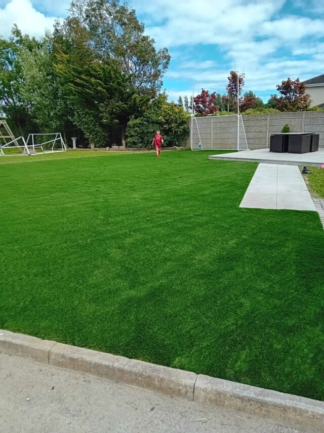 Dublin Large back garden (280m2)