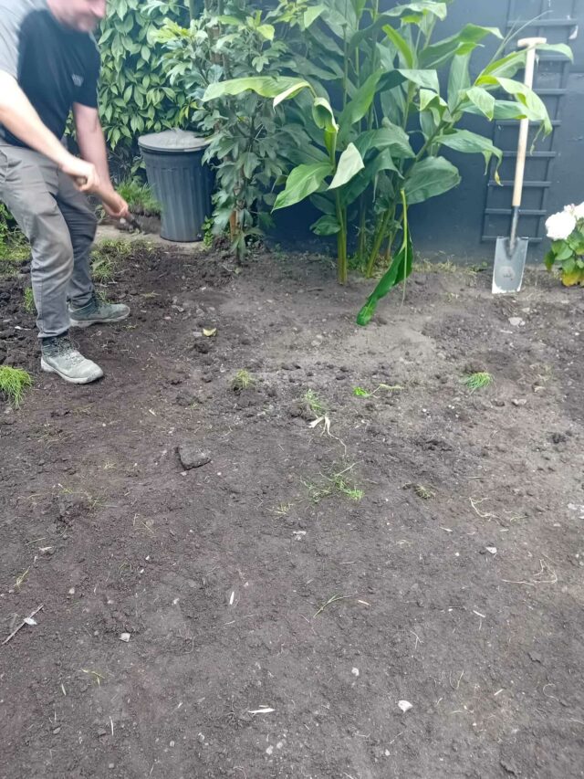 Easigrass Dublin