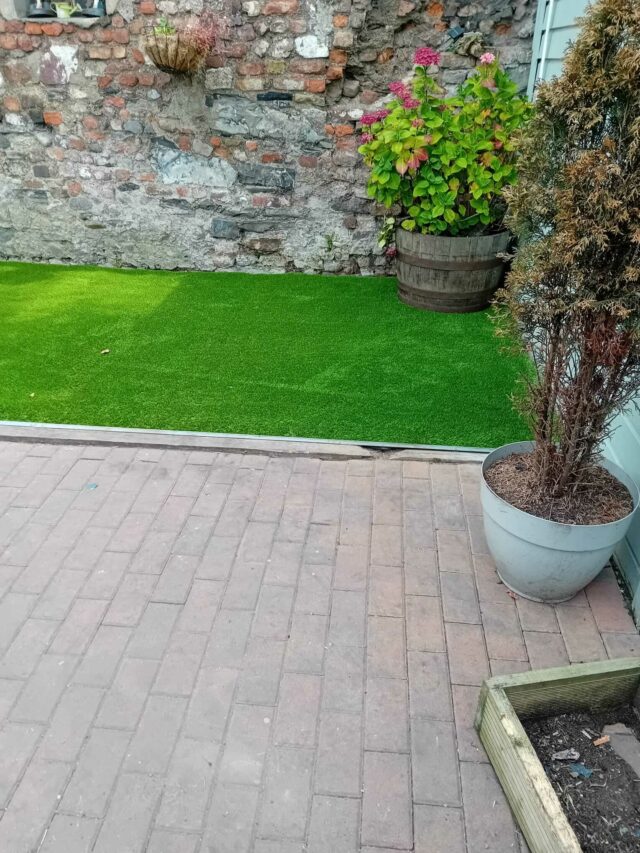 Easigrass Dublin